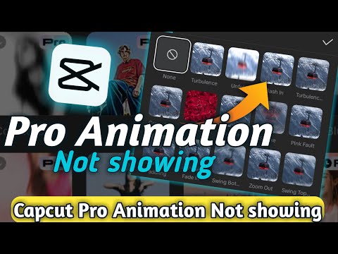 Capcut Pro animation not showing | How to show capcut pro animation
