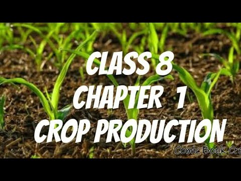 CLASS 8 😊 SCIENCE 👍👍CHAPTER 1 - CROP PRODUCTION.