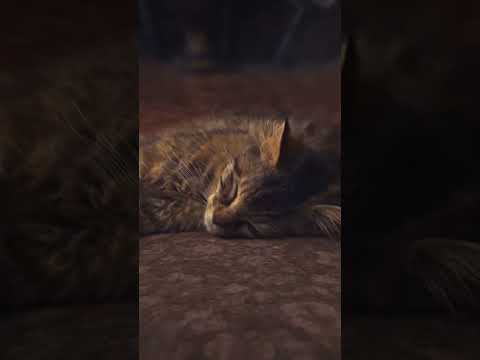 everything is good  #shorts #shortvideo #shorstviral #videolucu #ngakak#trend #viral #shortsfeed