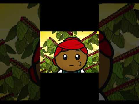 The Origin of coffee. Full video in comments