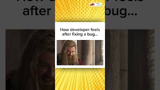 How developer feels after fixing a bug... #shorts #devmemes #techmemes