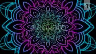 Ethnic Mandala VJ Loops Motion Graphics