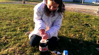 Faith's Science Experiments: Chemical Reactions