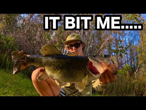 These Florida Golf Course Ponds Hold HUGE Fish