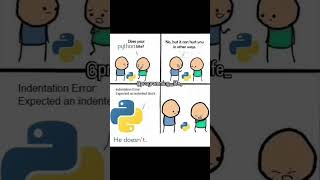 python meme #python #memes #meme #funny #programming #coding #codingmeme