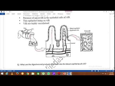 Science english medium gce o/l grade 11 lessons Unit 06   Part 03