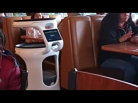 ROBOTS ARE COMING TO TAKE OVER THE WORLD 🌎