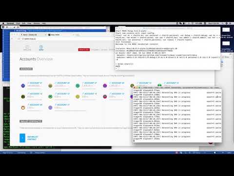 Tutorial: Your Wallet on MOAC -  English language