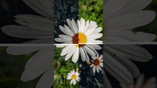 Before After Photo Edit