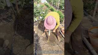 DIY Hole Making 🔥 Step By Step