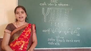 Class-9th (C) , Subject - Science