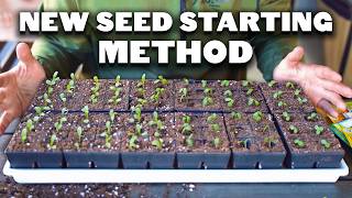 My NEW Favorite Seed Starting Method 🌱🌱🌱