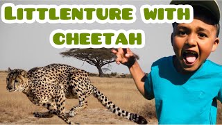 Littlenture with Cheetah [Facts about Cheetah ]