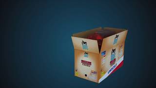 3D asset model Presentation
