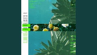 #00FF00 (Bonus)