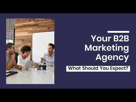 Your B2B Marketing Agency What to Expect
