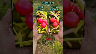 Vivo X200 Vs Vivo X200 Pro Macro Mode Compare Up To 20x Zoom #vivo #vivox200series #trending #shorts
