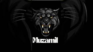 My logo design services include