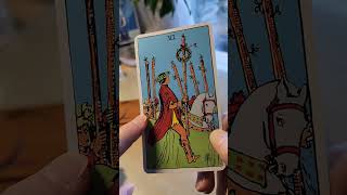 Element of fire reminds you to stoke that inner spark!#tarotcafe #tarotdaily #learntarotwithme