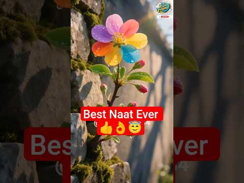 Noor Binte Noor Zauje Noor Umme Noor Noor 💐 Islamic Naat 🌸 Beautiful Flowers #trending #naat #shorts