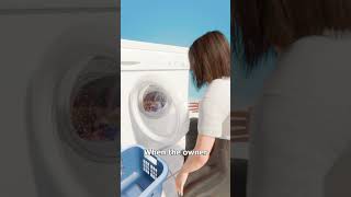 Cat Survives Washing Machine Cycle 😨