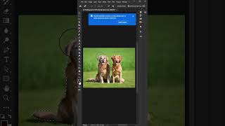How do you remove complex objects in Photoshop #photoshop #tutorial #graphicdesign #shorts #trending