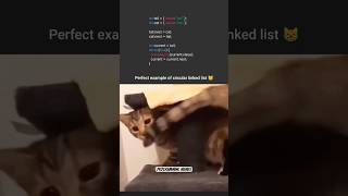 Perfect Example of Circular Linked List #programming #memes #linkedlist #programmingmemes