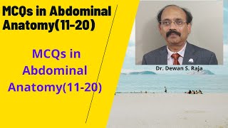 MCQs in Abdominal Anatomy (11-20)