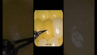Robotic Microsurgery: Stitching a Corn Kernel with Precision!