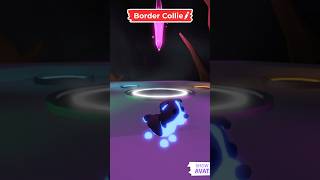Making a NEON Border Collie in Adopt Me! @PlayAdoptMe @X&J TV #bordercollie