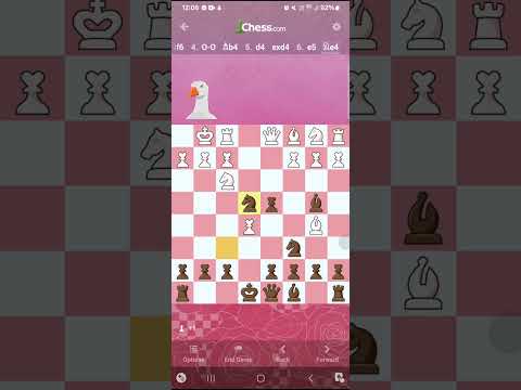 How to defeating the goose on valentine's day?