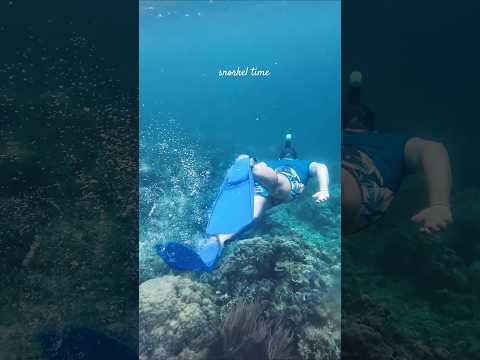 🌊 Lost in the azure waters of San Nicolas 💙✨ Snorkelling through vibrant coral reefs 🤿 #tropical 🐠