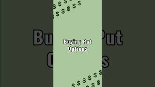 Put Options for Beginners