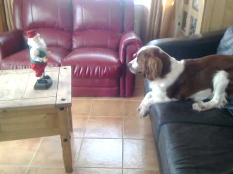Puppy Meets Santa
