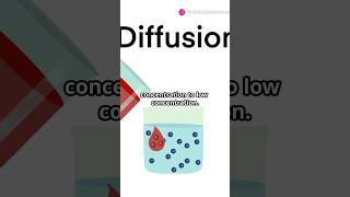 Diffusion and Osmosis #shorts #science #diffusion #osmosis #pharmacy #study