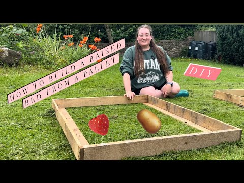 Making raised beds out of pallets - Dean Forest Gardening