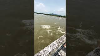Uppongele godavari🌊song #ytshorts #song #shortsfeed #godavari #godavari #water#spb #telugusongs #yt