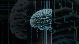 Reprogram Your Conscious & Subconscious Mind