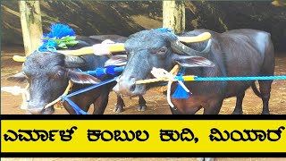 Yermal Kambula Kudhi @ Miyar