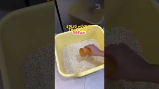 Flush it. Forget it. Clean Cat got you 🚽✨