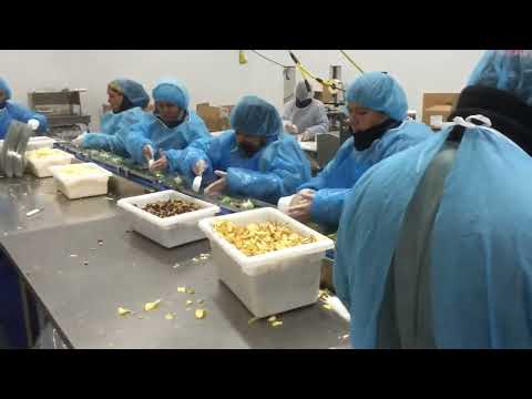 Automatic Tray Sealer with Ergonomic Assembly Line With MAP