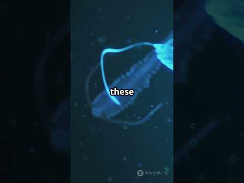 Alien Creatures Found in the Deep Ocean!