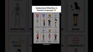 Web Dev Explained in Human Language 🗣️ || #coding #webdevelopment