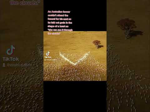Australian farmer lays grain in the shape of a heart so his late aunt "can see through the clouds"