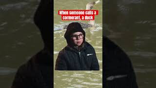 It’s not a duck. #memes #funny #naturecomedy #birds #birdwatching #christmas #nature #funnyshorts