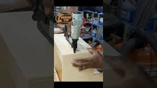 How to build steps for older pets #woodworking #diy