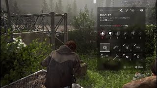 Aggressive Wolf throwdown