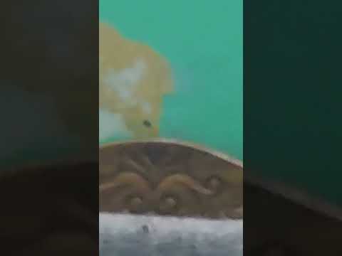 Bro teleport
