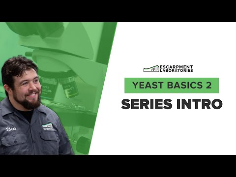 Welcome to Yeast Basics 2! | Escarpment Labs