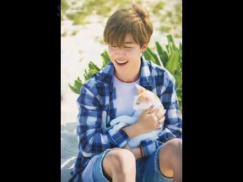 BTS And Their Pets episode 28 season 1